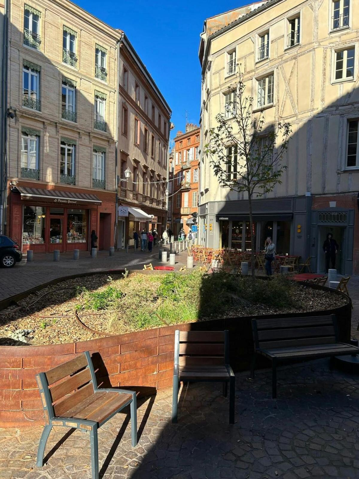 T1Bis-Cosy-Place Salengro-Metro Toulouse Exterior photo